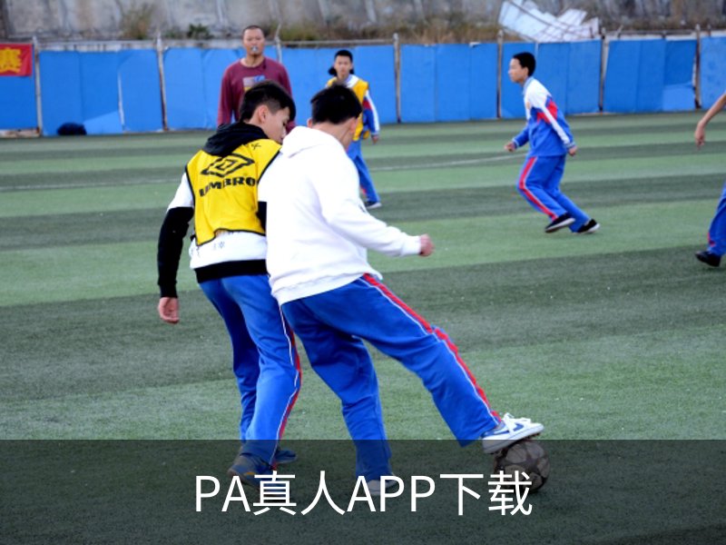 PA真人APP下载概况